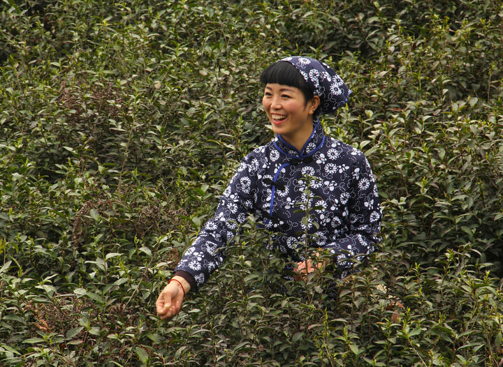 37间房主播跳舞 房间37